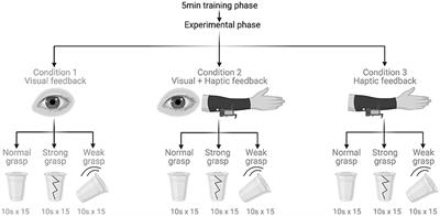 A Haptic Sleeve as a Method of Mechanotactile Feedback Restoration for Myoelectric Hand Prosthesis Users